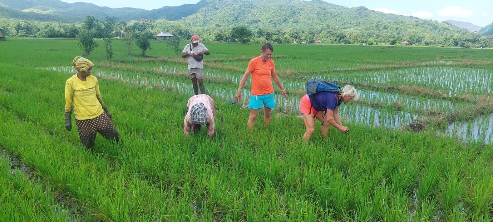 Inang Amang Homestay Labuan Bajo Exteriör bild
